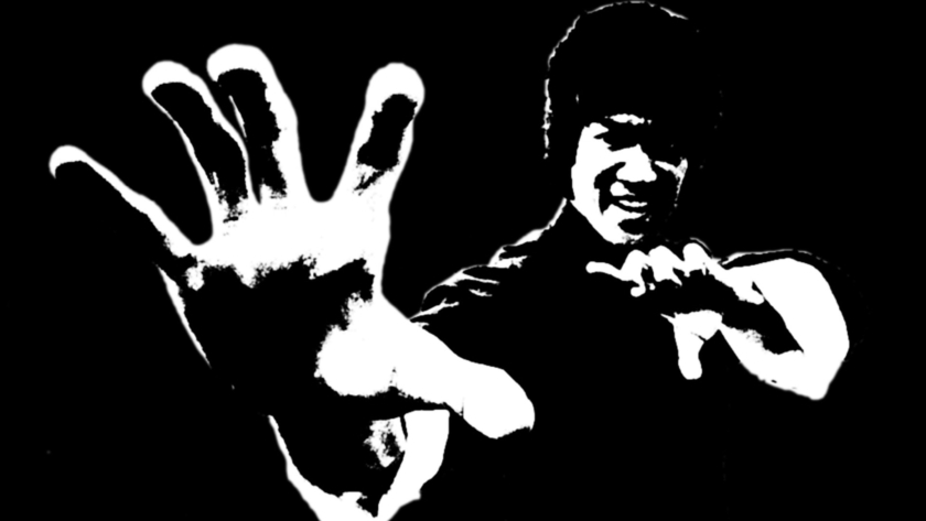 Martial arts brucelee