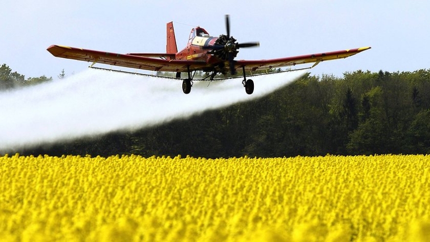 glyphosat-imago-12416